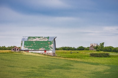 白天在蓝天下的绿色草地上有一个红白相间的谷仓